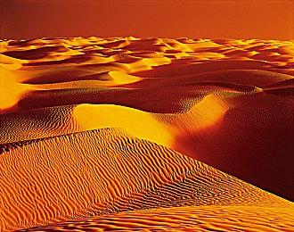 传《寂静岭1：重制版》已偷偷开发3年 2027年发售