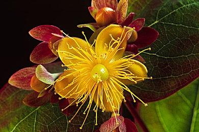 《网络奇兵》CEO：生化2重制版是恐怖游戏回归重要因素